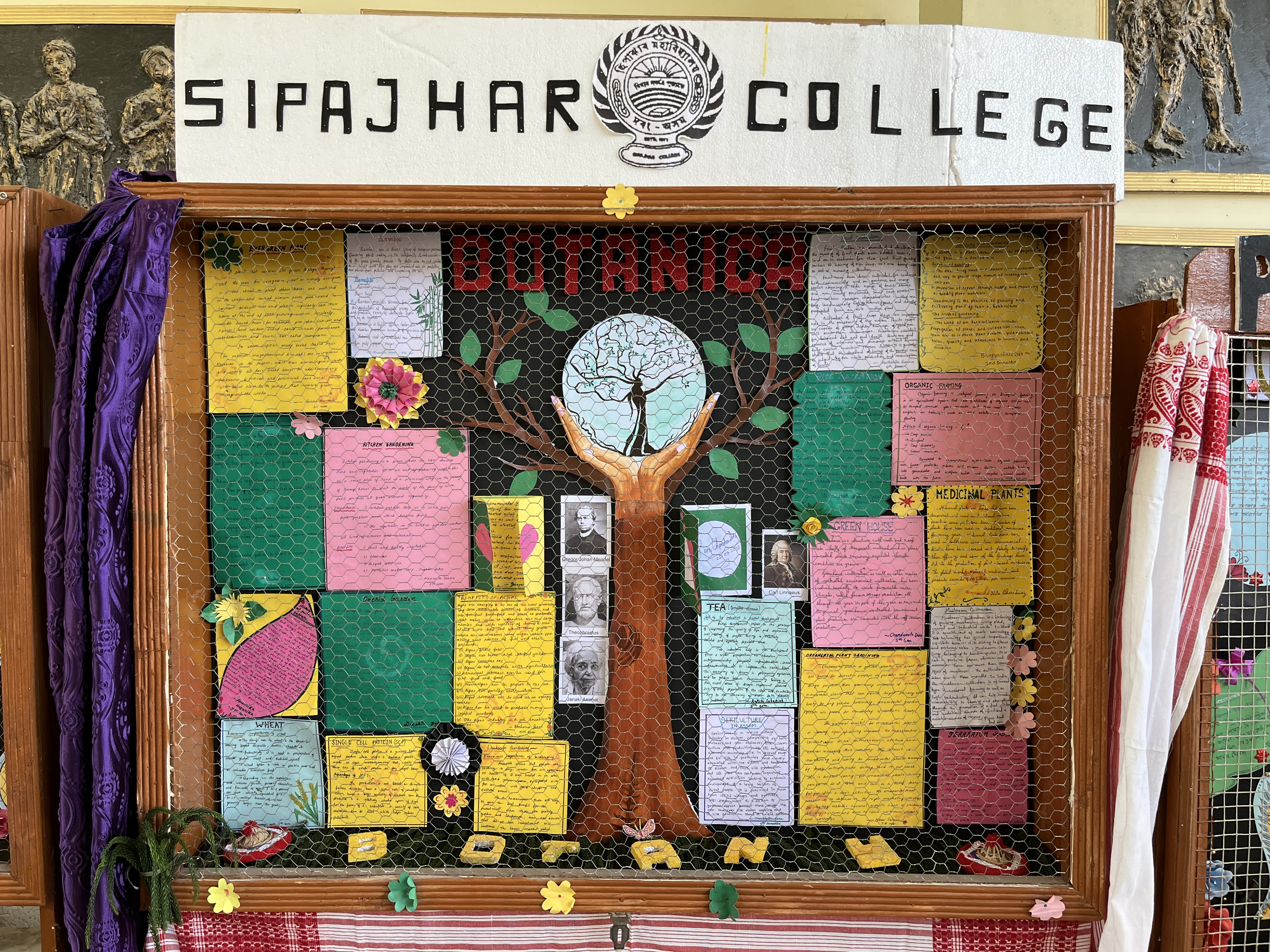 Sipajhar College